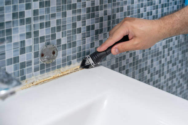 Best Toxic Mold Removal  in Lagrange, OH
