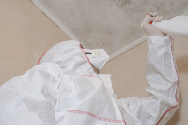 Best Residential Mold Removal  in Lagrange, OH
