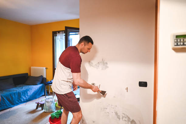 Mold Removal Process in Lagrange, OH